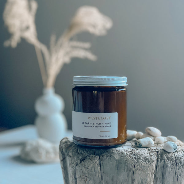 WESTCOAST 8 oz. Amber Glass Candles - Cedar & Pine & Birch