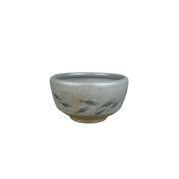 Small fish bowls