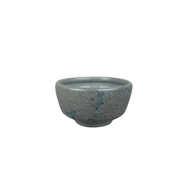 Small fish bowls
