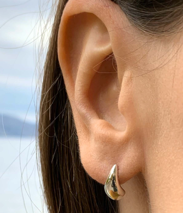 Lovebird silver studs
