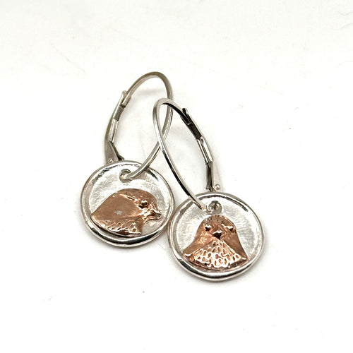 Joanna Lovett - Sterling & Bronze earrings