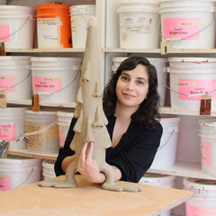 Hiva Barikani