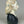 Sculpted Bust Pinch Plate Black dress