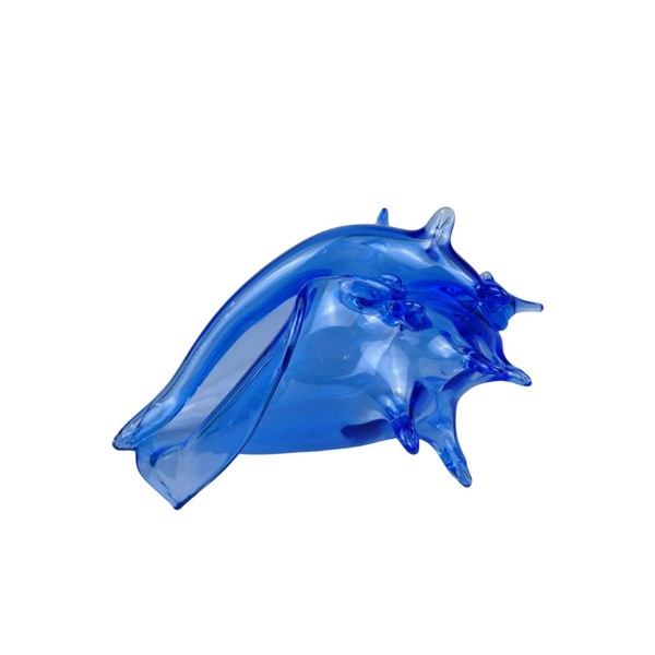 Glass Shell