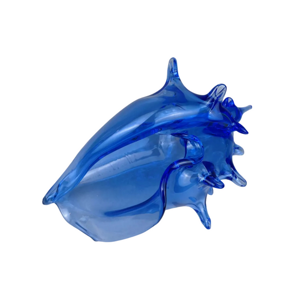 Glass Shell