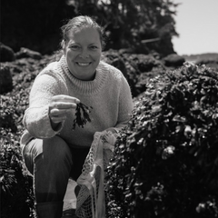 Tanya Droege